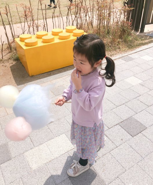 Flowers full blossom