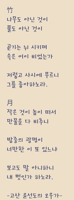 조윤정