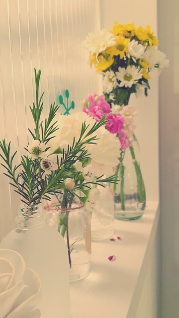 수진 형인종호맘