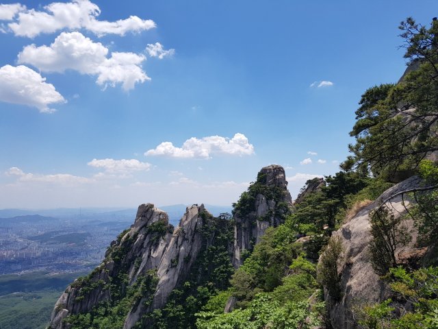 이영기