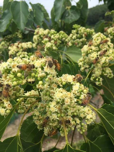 세상에 없던 기적