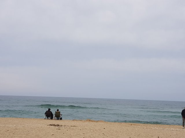 배철영