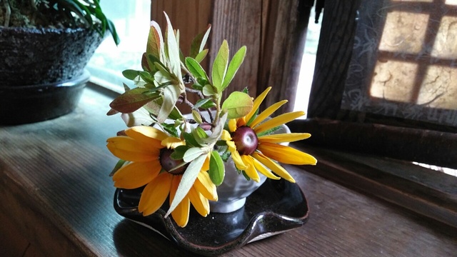 박정재용주용민맘