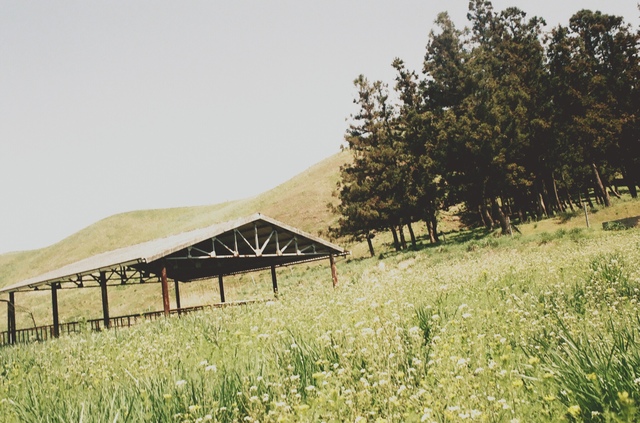 그럼에도 여전히