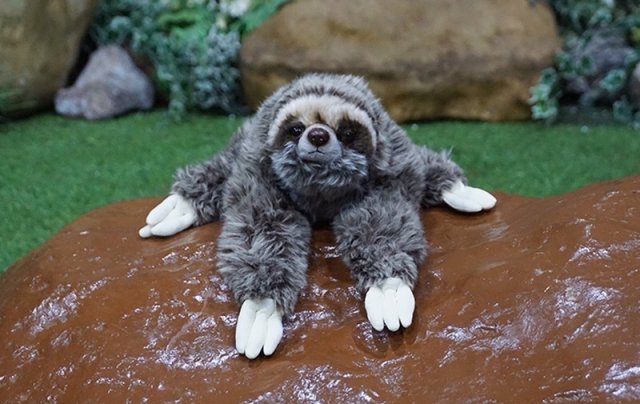 느리지만 괜찮아