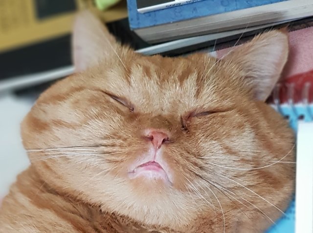 김우석
