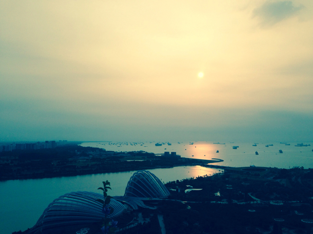 벼락무늬 혹은 자몽