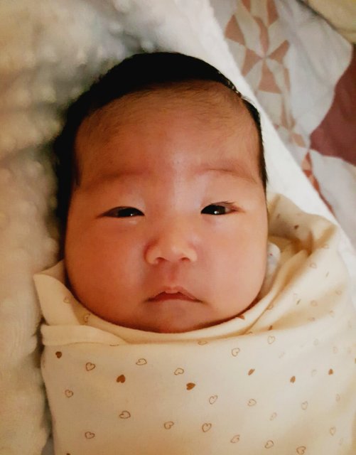 안젤라