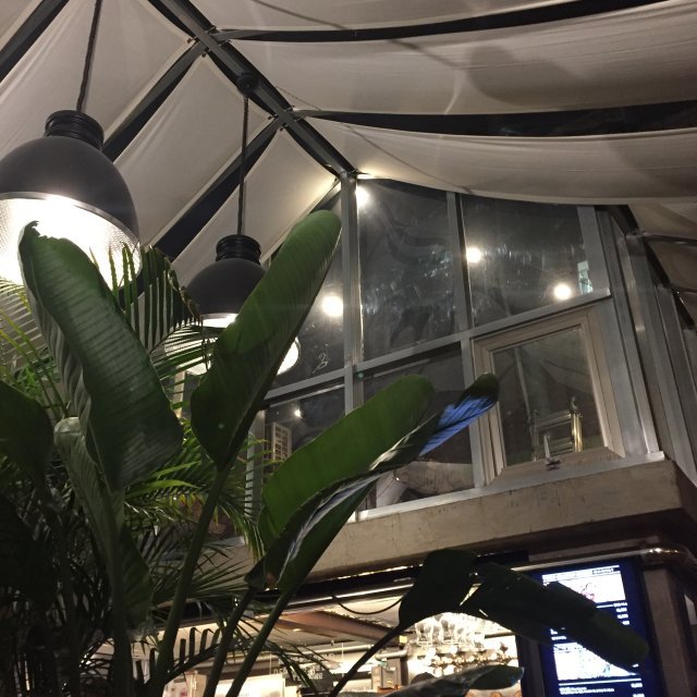 평범한게 제일 좋아