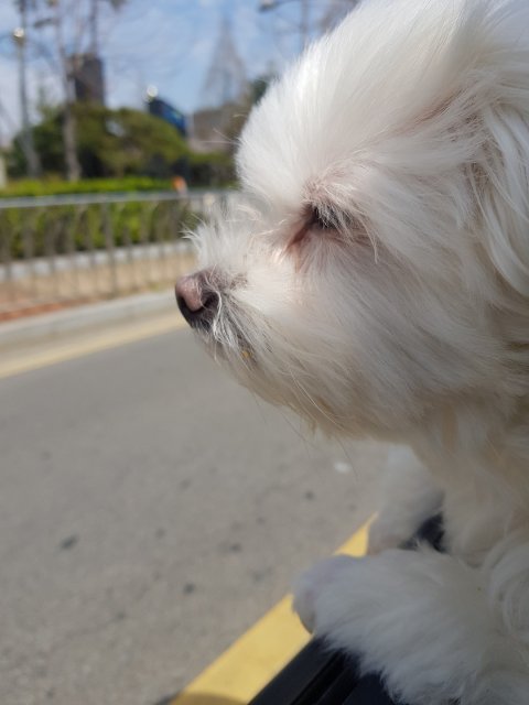 봄여름가을겨울