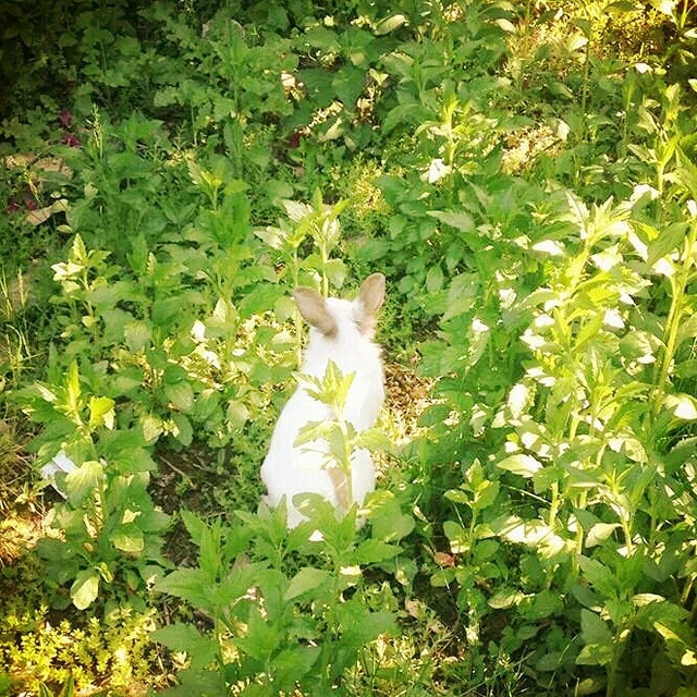 싸우지말자우리