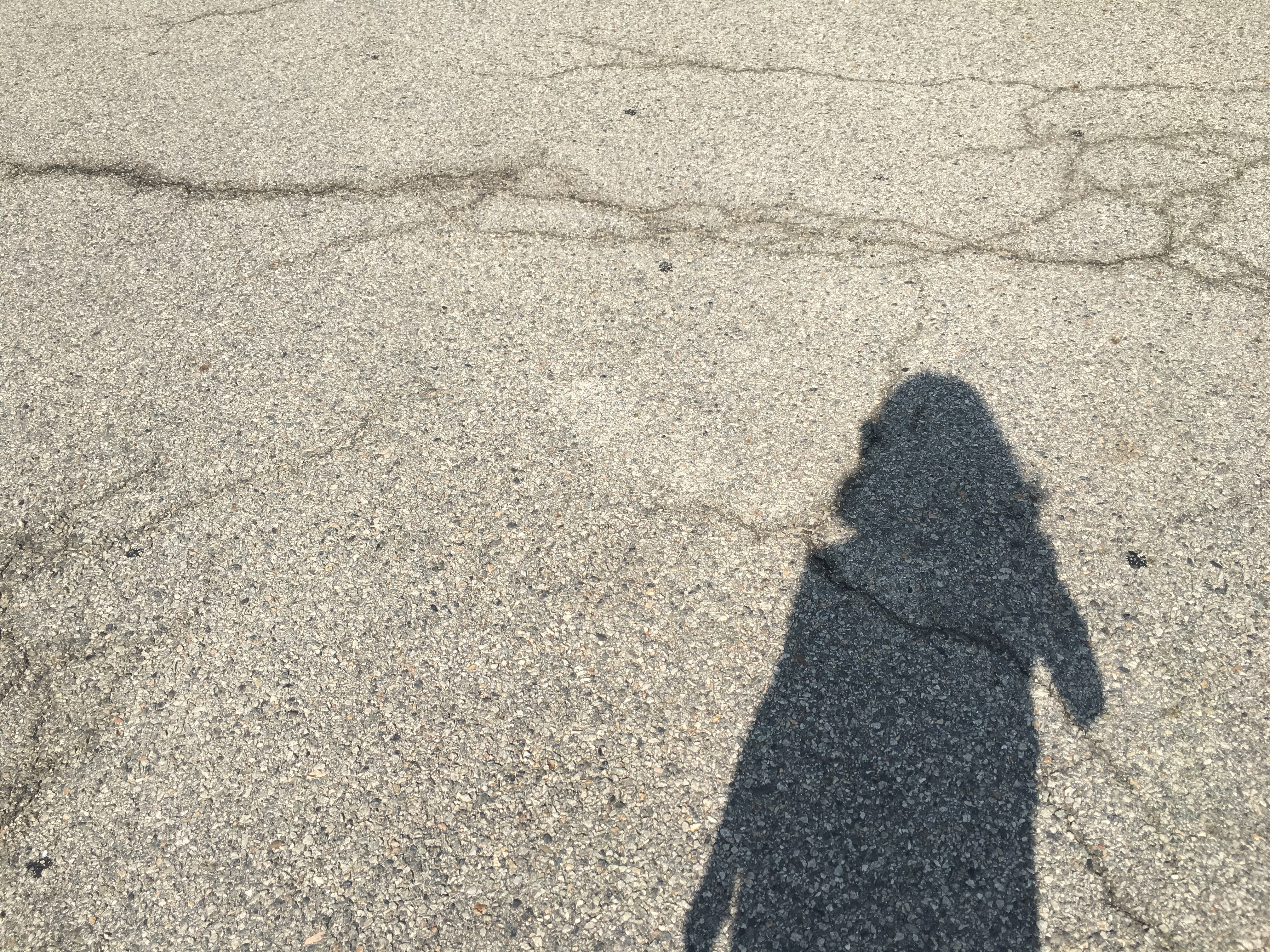 양배추브로콜리