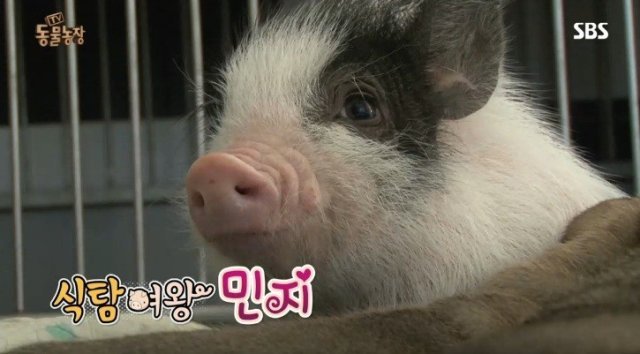 서민지