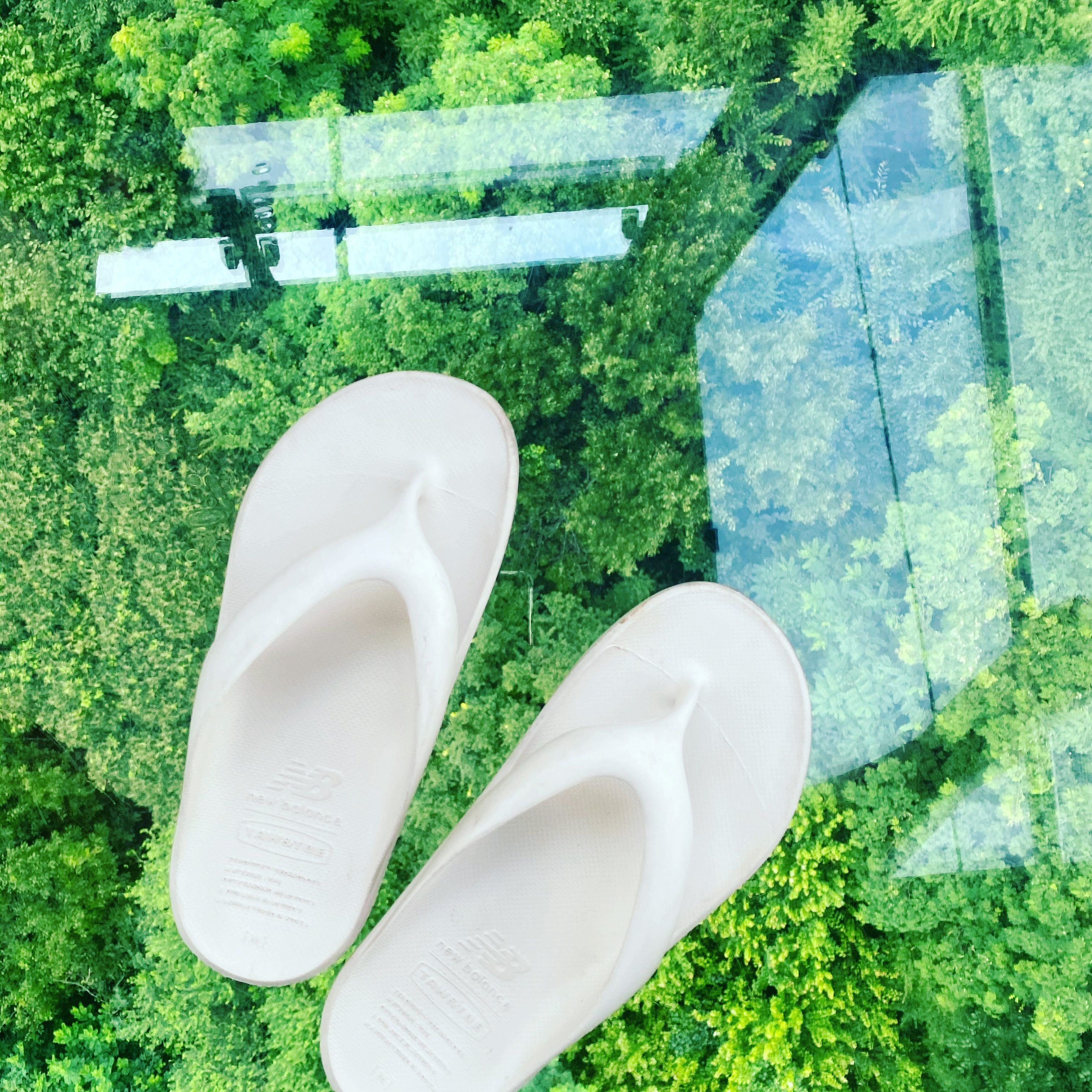 함평포레스트 인선