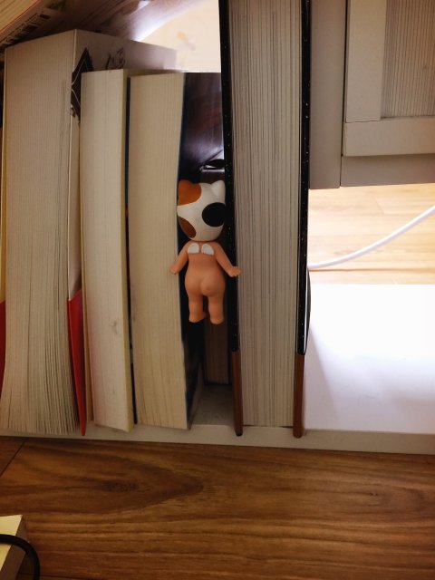 어흥범새마을호랭이