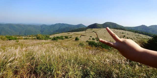 조민준맘 김효식