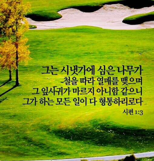 함재전