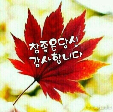 민정 윤상효상맘