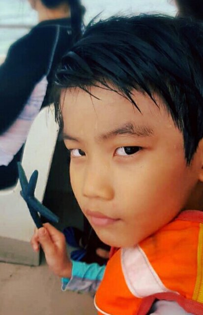 김선영태양태인