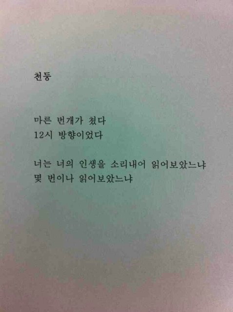 미술의 즐거움