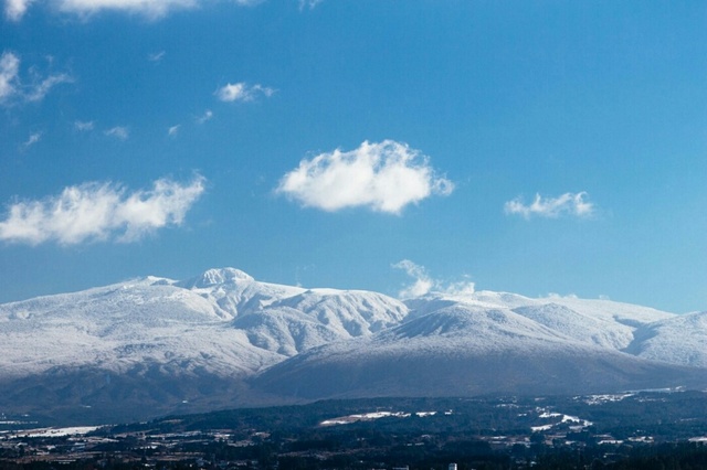 유혜경느리게먹고살기
