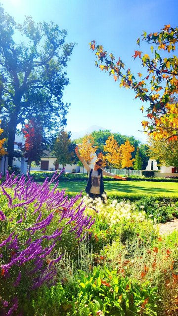 소셜워커남아공