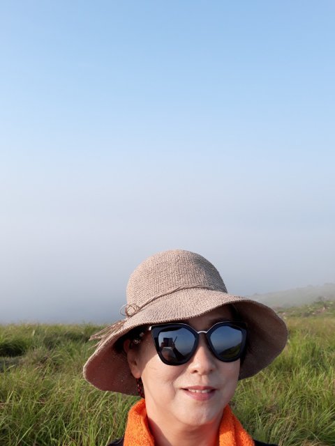 배효정