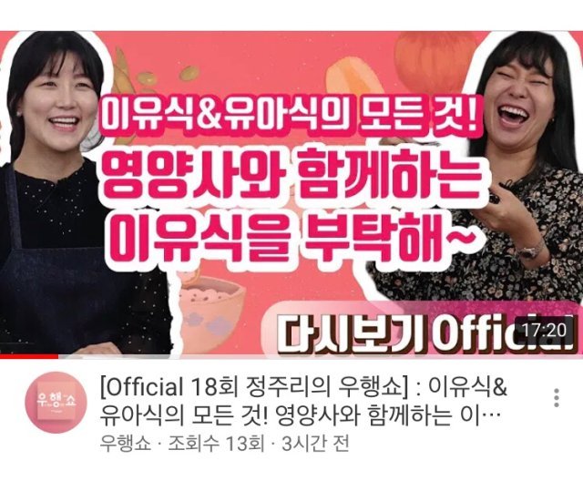 홍은미