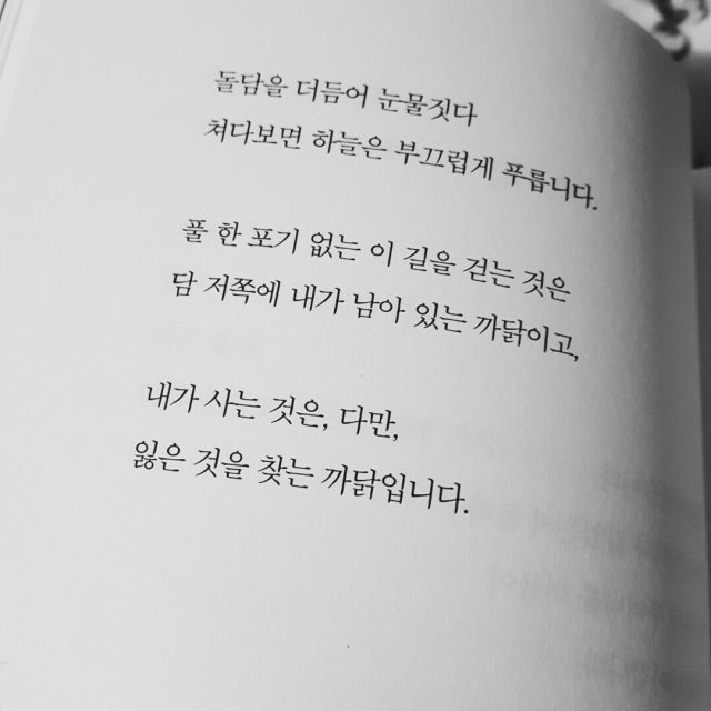 안영란