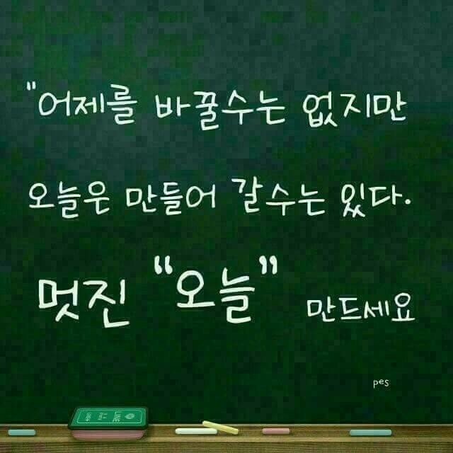 에디터 K