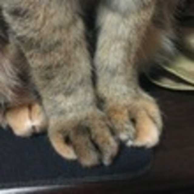 밤만되면두눈반짝