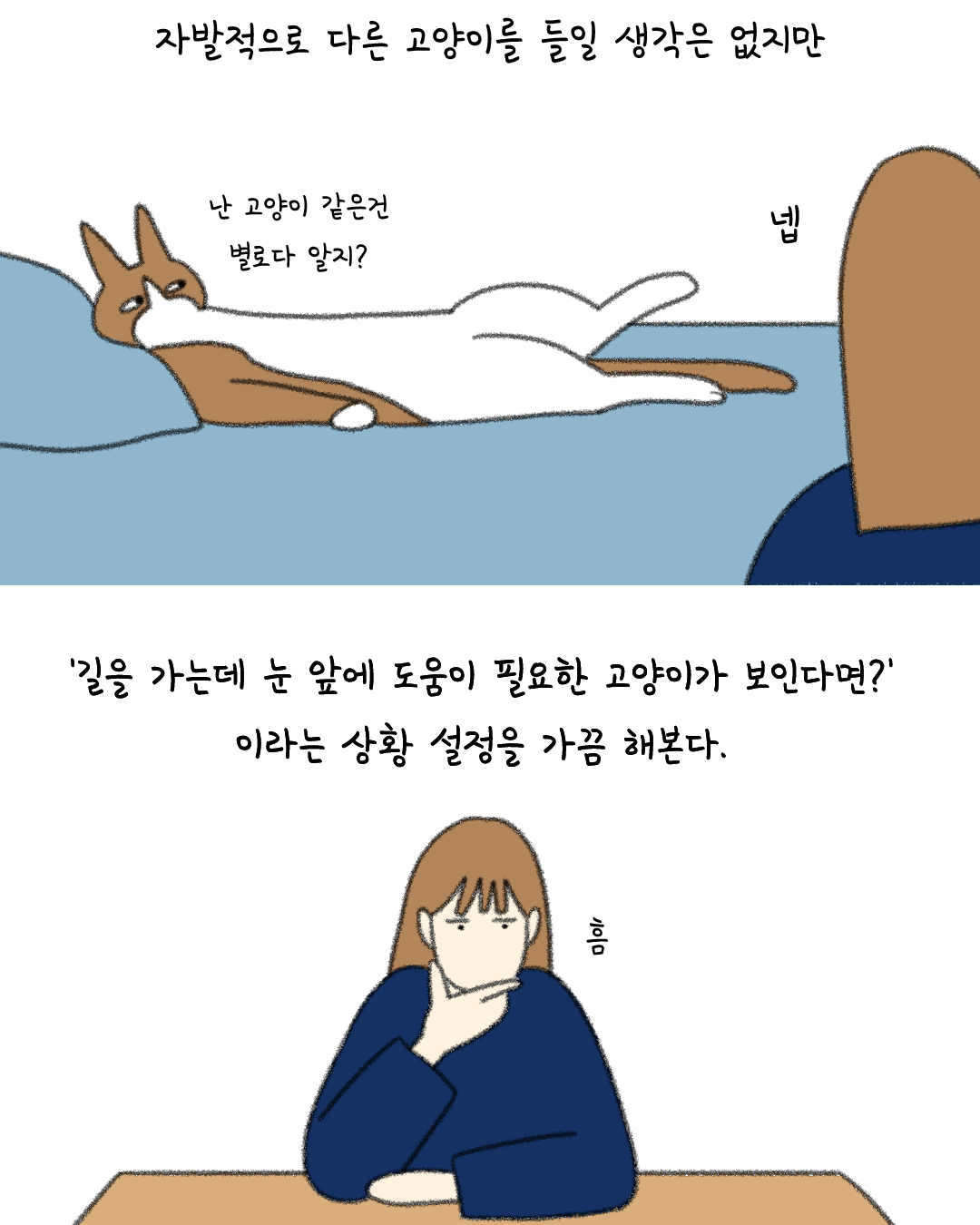 외동고양이