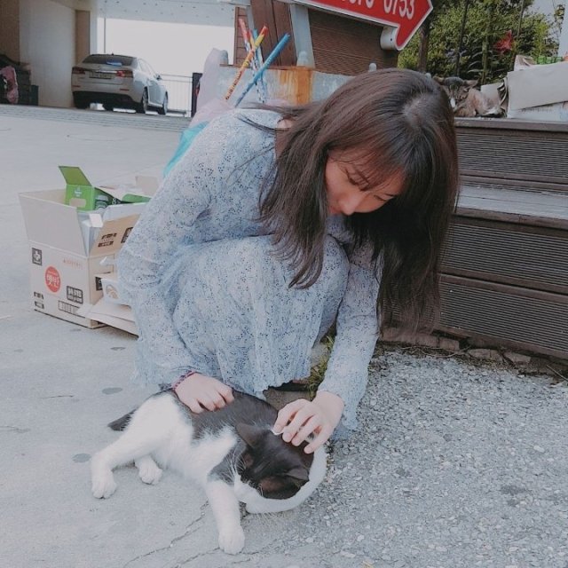 김혜리