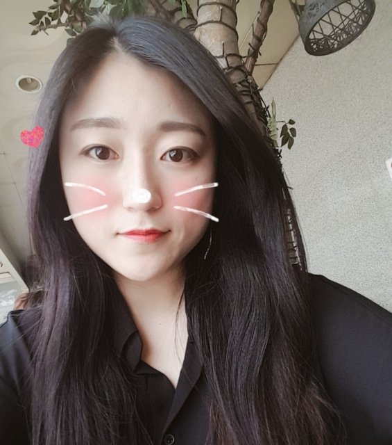 아리