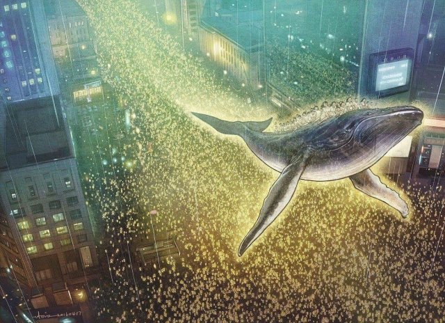 그물에 걸리지 않는 바람처럼