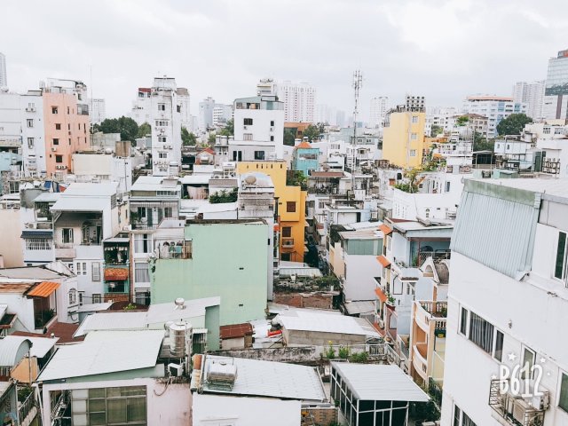 채원 규원 성원