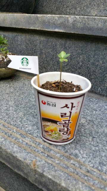 넌 최고의 작품