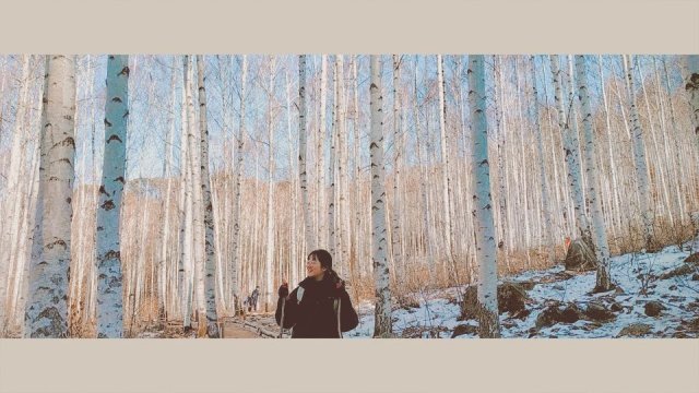 로브스터