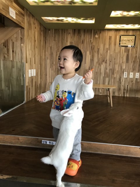 이주연