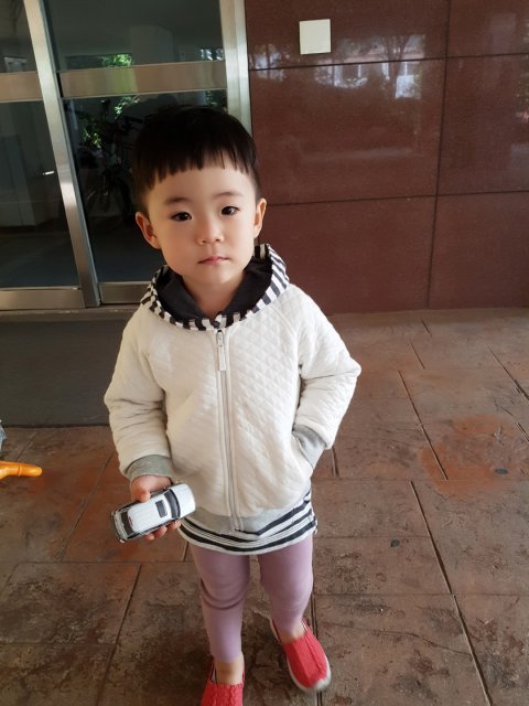 몬땐짓대장