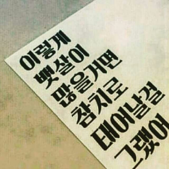 김국희