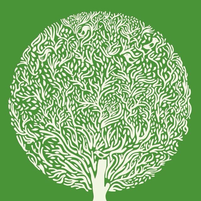 나의라임오렌지나무