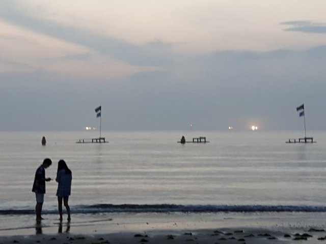 Useless Member Of Society