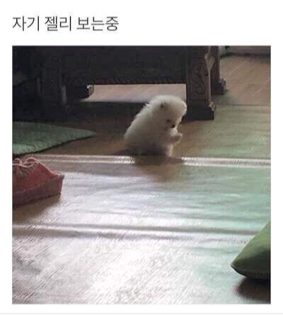 ㅊㅇㅇ