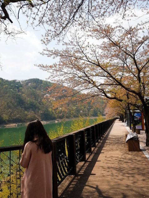 오다희