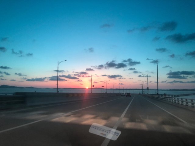 김동성