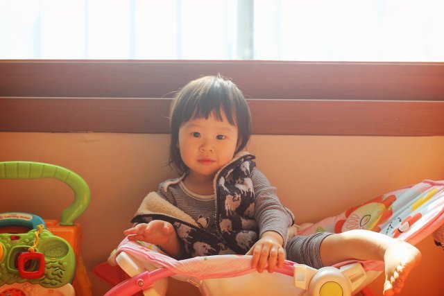 경주 바 달밤고양이식당