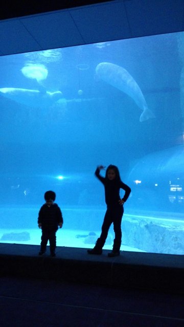 경성대 조교수 이종길