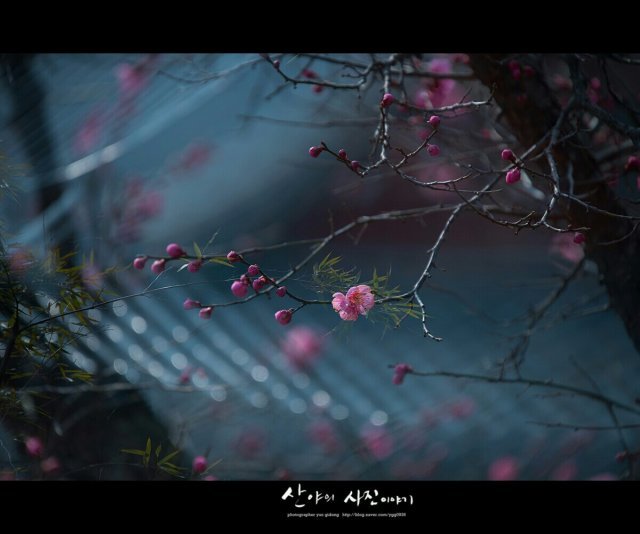 내가 사랑하는 당신은