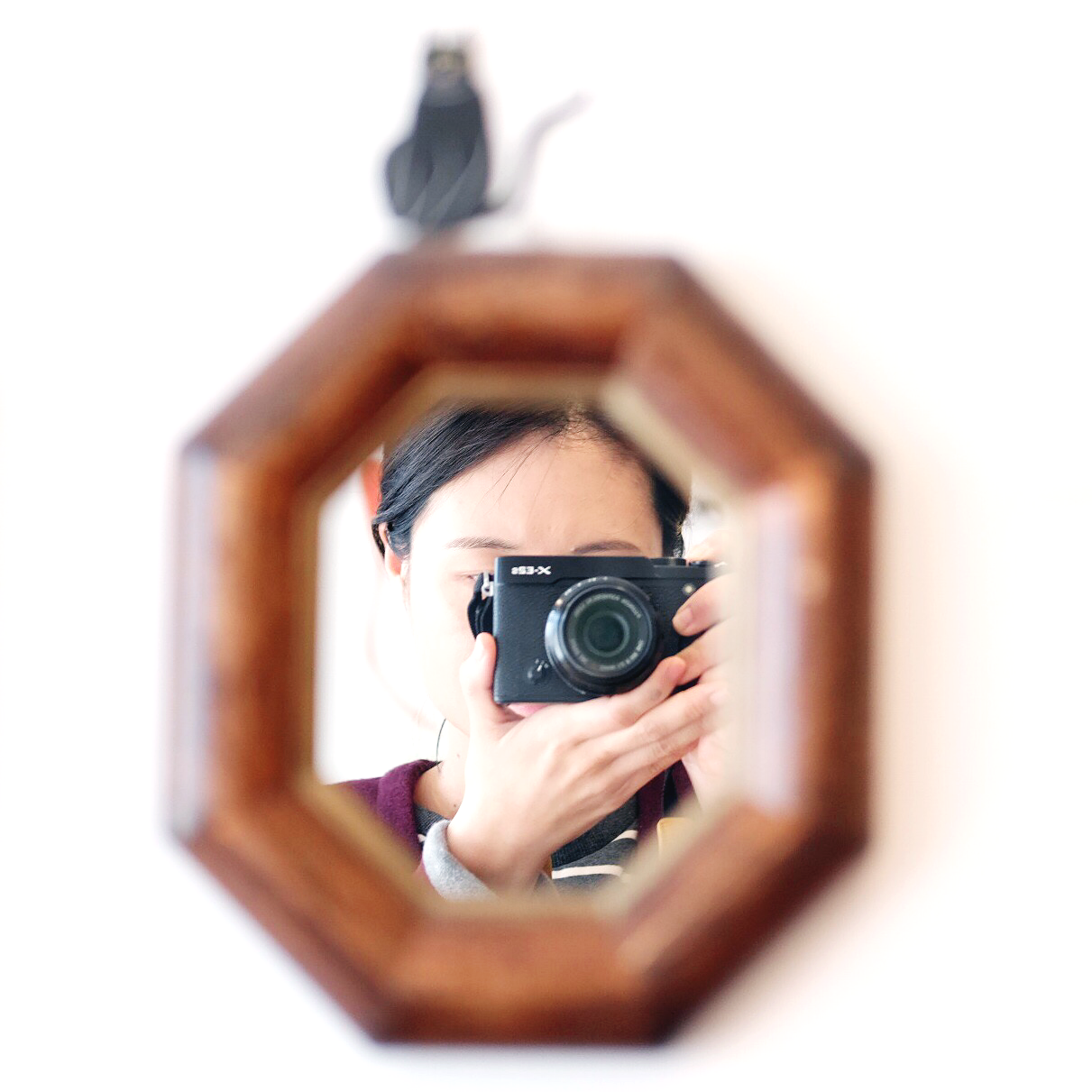 레이디페코